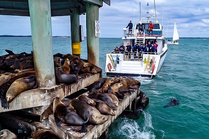 1.5hour Scenic and Wildlife luxury cruise - Key points to know before you book