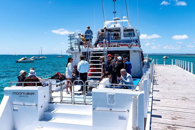 1.5hour Scenic and Wildlife luxury cruise - The coastal run from Sorrento to Portsea