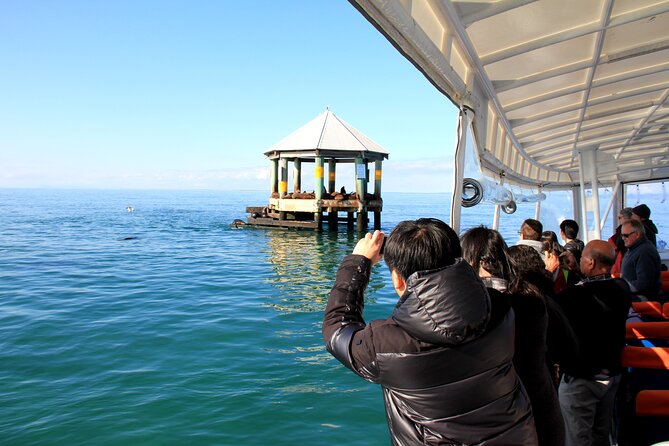 1.5hour Scenic and Wildlife luxury cruise - Is $53.79 good value?