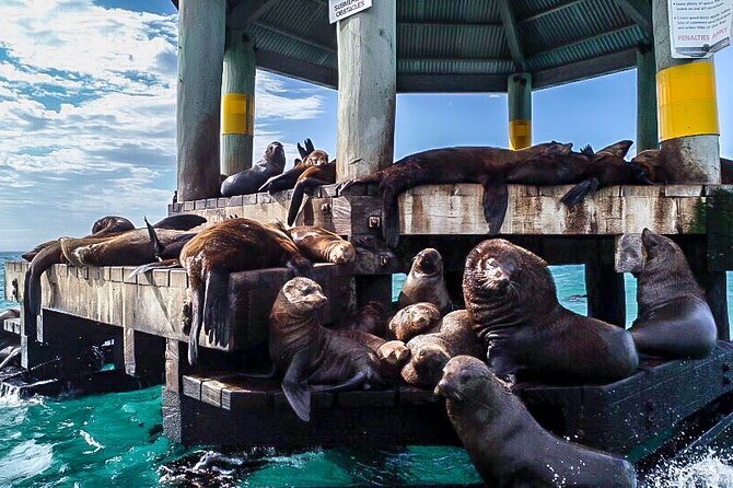 1.5hour Scenic and Wildlife luxury cruise - A custom boat with room to move