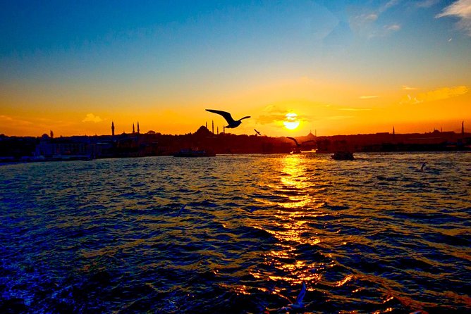 2-Hour Private Luxury Yacht Cruise on Bosphorus with Transfers - Topkapi Palace from the Bosphorus