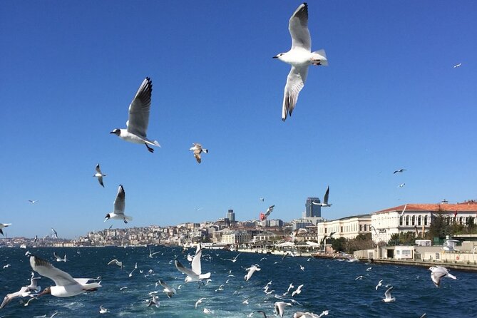 2-Hour Private Luxury Yacht Cruise on Bosphorus with Transfers - Kucuksu Pavilion and the upper Bosphorus