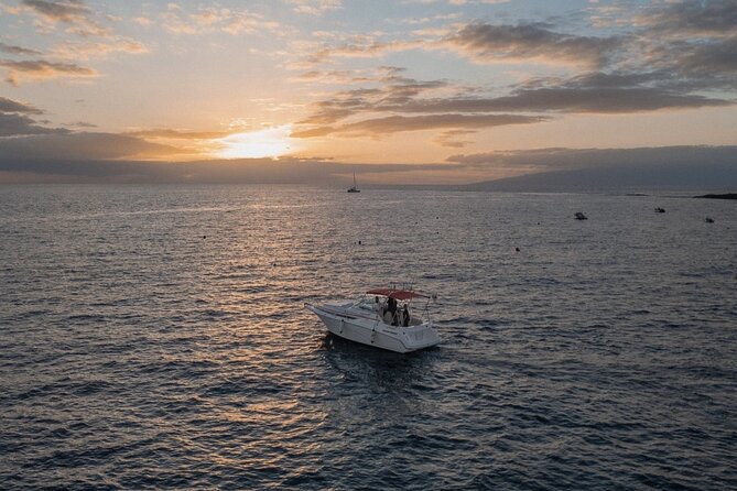 2 Hour VIP Private Luxury Sunset Boat Charter in Tenerife - Key points to know before booking