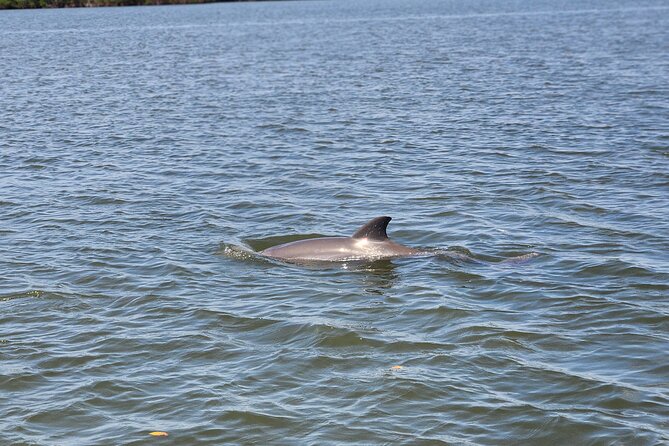 3 Hour Private Custom Boat Charter - New Smyrna Beach by Intracoastal water