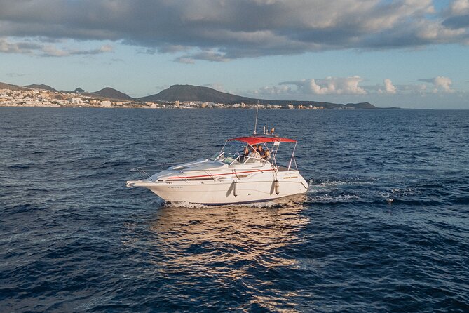 3 Hour VIP Private Luxury Boat Charter in Tenerife - My verdict: a polished small-group day on the water