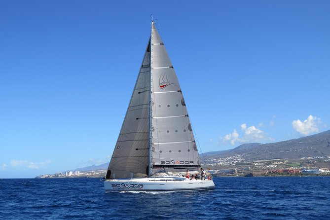 3 Hours All Inclusive Whale and Dolphin Whatching Yacht Trip - A small yacht with a big view of Tenerife
