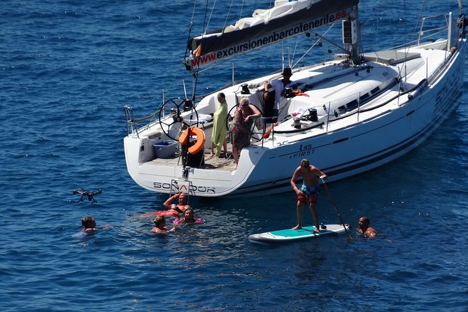 3 Hours All Inclusive Whale and Dolphin Whatching Yacht Trip - Shared or private sailing