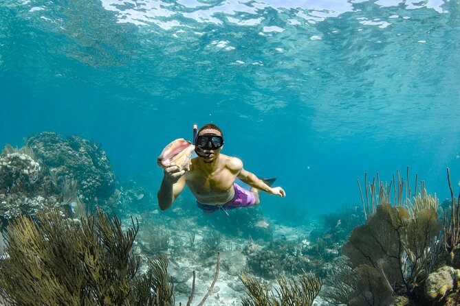4 hour Private Boat charter to Stingray City, Snorkeling and More - The four-hour schedule is flexible, but not endless