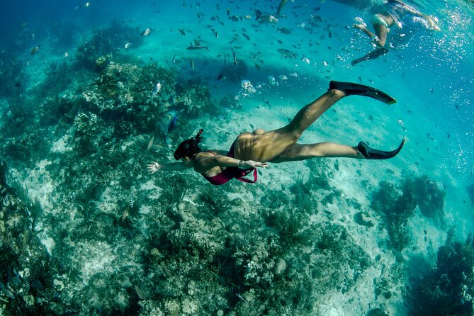 4 hour Private Boat charter to Stingray City, Snorkeling and More - What the crew adds to the day