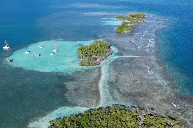 4 hours Tour in La Parguera Private Boat Charter - Why the private boat matters