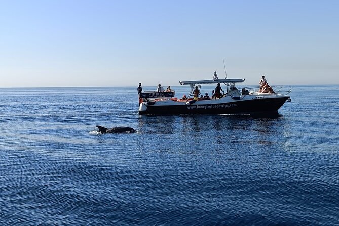 4 or 2 Hour Private Luxury Boat Rental in Fuengirola - Is the price good value for your group?