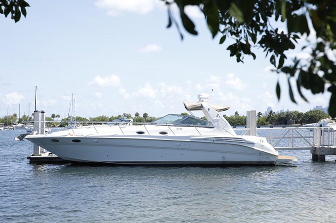 45 Ft Private Yacht Rental in Miami - Choosing Between Swimming, Coves, and Skyline Views