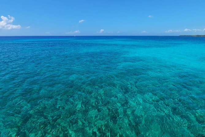 5-Hour 38'Luxury Catamaran All-Inclusive Tulum & Playa del Carmen - Cost, dock fee, and what is really included