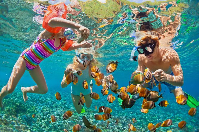 50' Luxury Yacht. Private Full or Half Day Catamaran Snorkel, & Beach Experience - Why a private catamaran changes the St. Thomas day