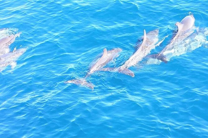 6-Hour Sailing Charter from Fort Lauderdale - What the boat provides for a six-hour day