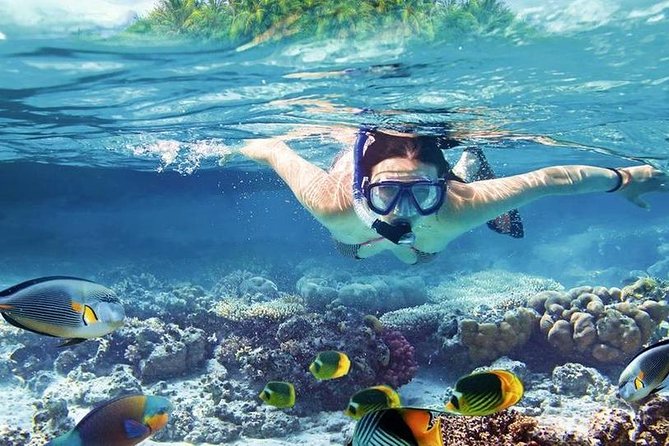 8-Hour Private Boat Charter Exclusive & Lunch Transfer -Hurghada - Comfort, equipment, and the private group advantage