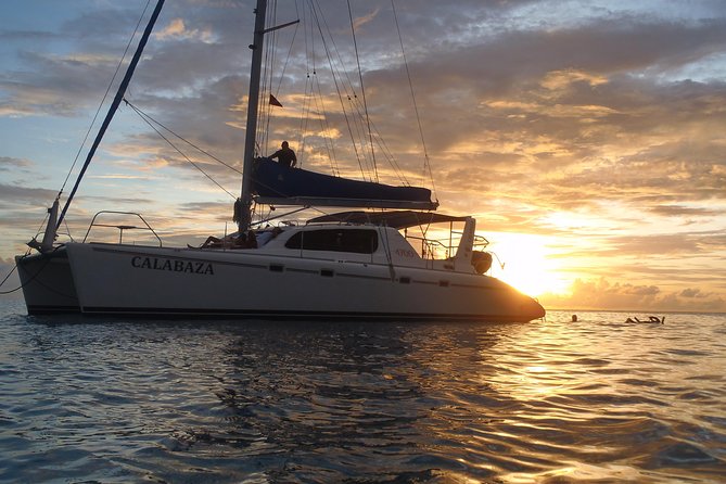 Afternoon Luxury Catamaran Sailing and Charter Cruise from Bridgetown - Why the late afternoon works so well