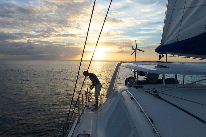 Afternoon Luxury Catamaran Sailing and Charter Cruise from Bridgetown - Second stop: reef, shipwreck, and fish