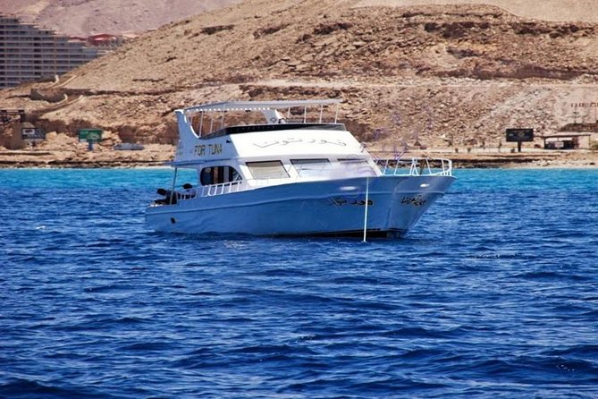 Ain Sokhna Red Sea Day Use Yacht from Cairo - Who should book this Ain Sokhna day trip