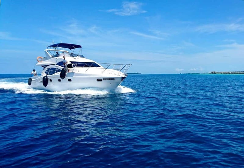 Alanya: 4 Hours Private Luxury Yacht tour. - Swimming breaks in the Mediterranean