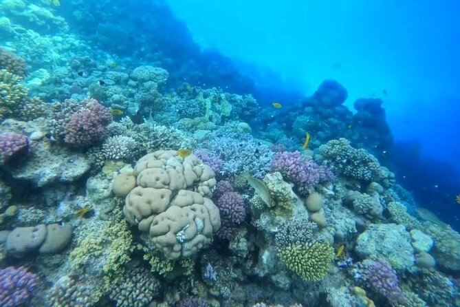 All-Inclusive Red Sea Adventure – Luxury Boat Trip from Hurghada - A full Red Sea day from Hurghada