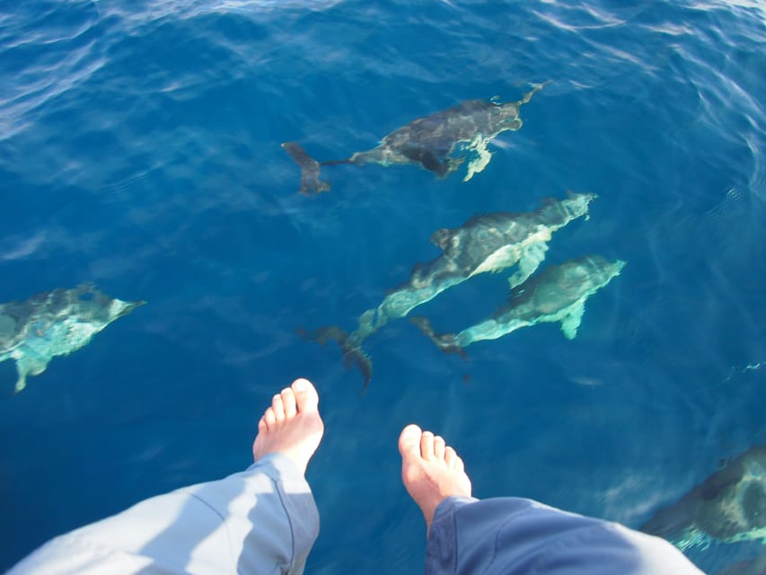 Always private 4 hour - Sail- dolphin Yacht Charter-paddle - Tapas, Barbecue Plans, and Cold Drinks
