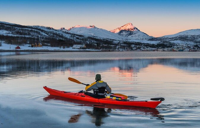 Arctic Fjordcruise & Safari in Tromso with Luxury Catamaran - A three-hour view of Tromsø from the sea