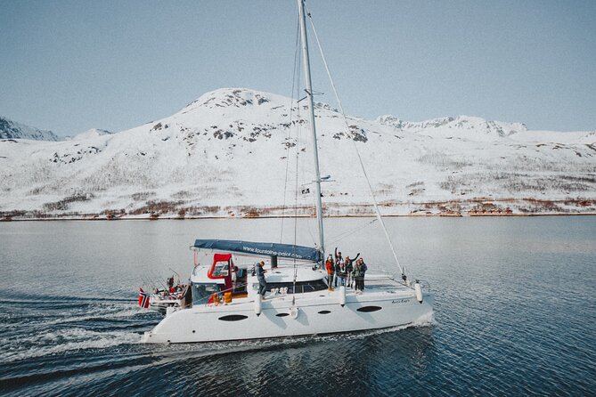 Arctic Fjordcruise & Safari in Tromso with Luxury Catamaran - Rya and the search for wildlife