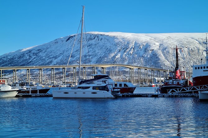 Arctic Fjordcruise & Safari in Tromso with Luxury Catamaran - Small-group guiding makes a real difference