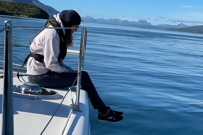 Arctic Fjordcruise & Safari in Tromso with Luxury Catamaran - Weather, winter, and the route question