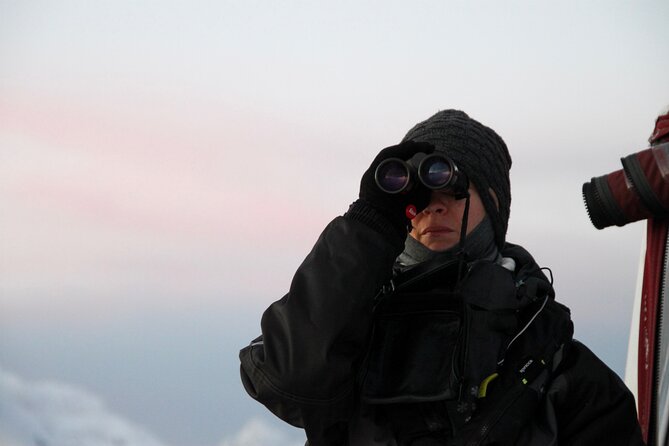 Arctic Fjordcruise & Safari in Tromso with Luxury Catamaran - Is the experience good value?