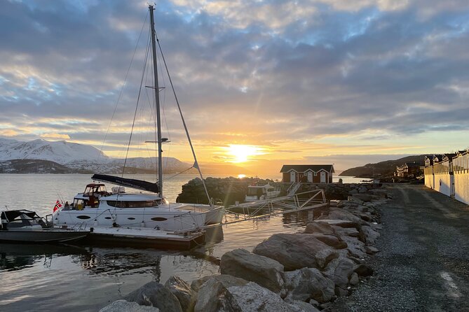 Arctic Fjordcruise & Safari in Tromso with Luxury Catamaran - The Tirpitz story and Tromsø’s wartime past