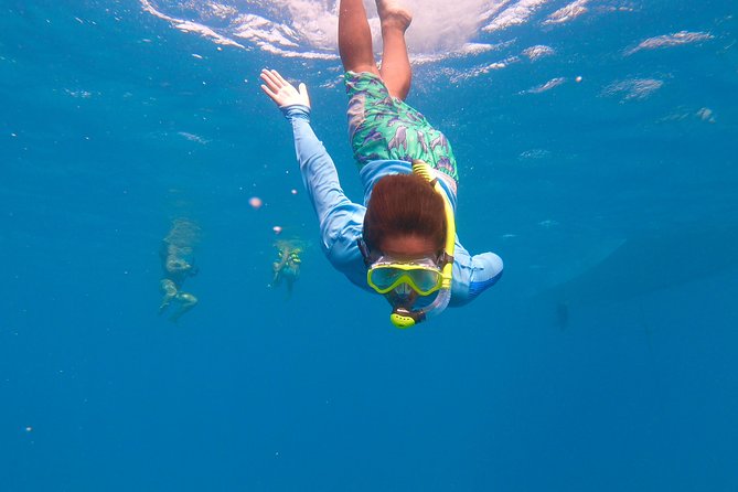 Aruba Element Private Boat Charter (After-Lounge) - Spanish Lagoon and the reef stop