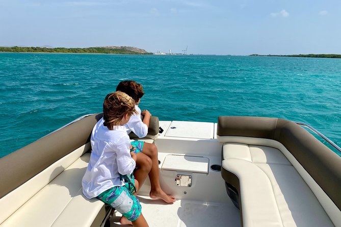 Aruba Element Private Boat Charter (L-Lounge) - Who should book this charter