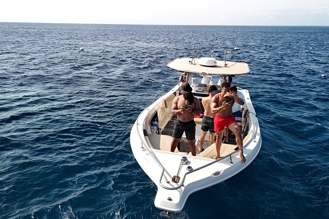 Aruba Private Boat Charter: Morning, Afternoon or Sunset Cruise - Who should book this boat trip?