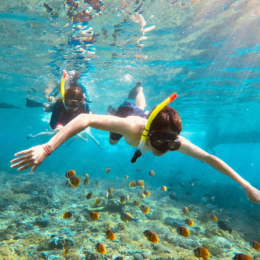 Bali: Private Yacht Snorkel at Manta Point & 2 Spots Penida - What is included, and what you still need