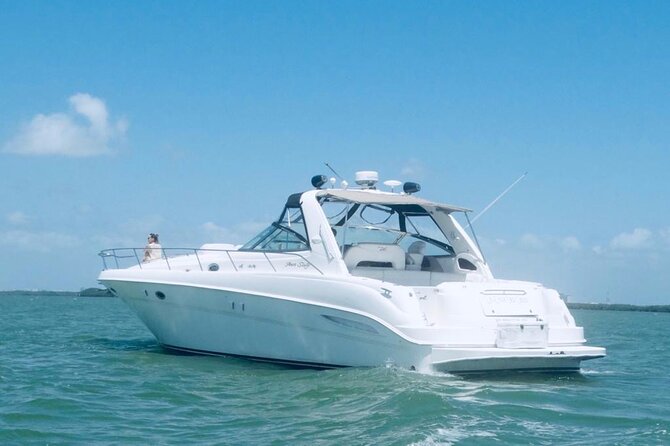 Beautiful Yacht SeaRay 48ft / 15PAX 25P16 - Swimming, snorkeling, and the small details that help
