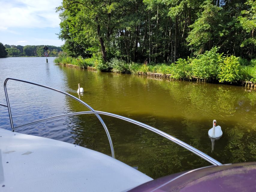 Berlin:Guided South Berlin Yacht Tour with Swim Stop (relax) - Practical preparation for the four hours
