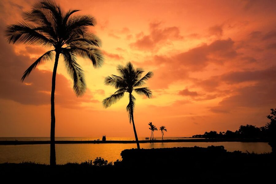 Big Island: Luxury Catamaran Trip along the Kona Coast - Is $449 a fair price?