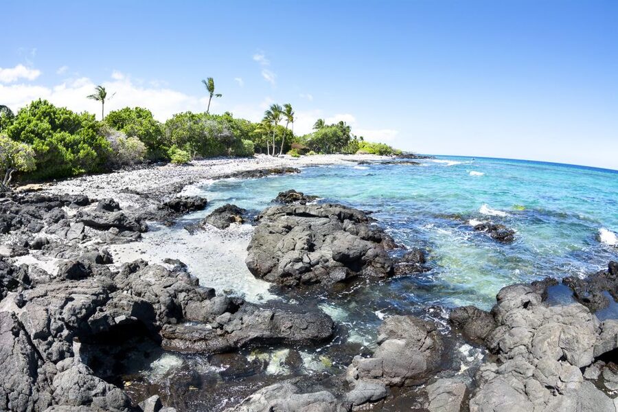 Big Island: Luxury Catamaran Trip along the Kona Coast - Sailing past Kona’s lava coast