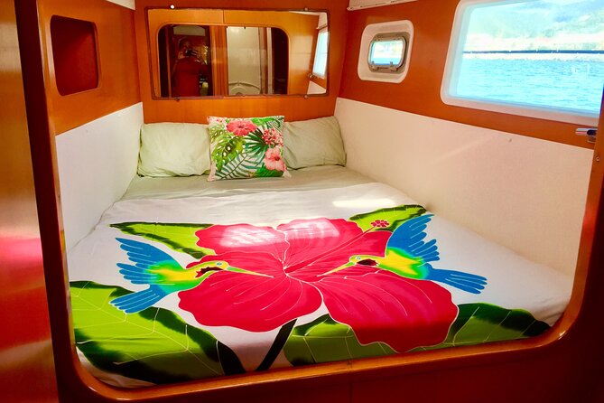 Bimini Charters - Private 3hr Catamaran Charters, Sail & Snorkel - Dolphins, turtles, and the luck of the water