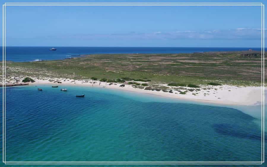 Boa Vista: Motoryacht Trip with Fishing, Snorkel, Beach BBQ - Who will enjoy this Boa Vista day?