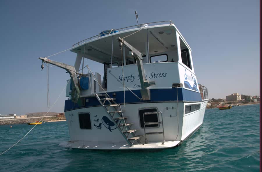 Boa Vista: Whale Watching Trip with Motoryacht - Should you book this Boa Vista whale trip?