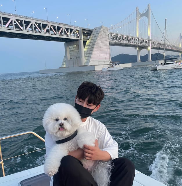 Busan: Group Sightseeing Yacht Cruise with Snacks and Drinks - What you see from the yacht