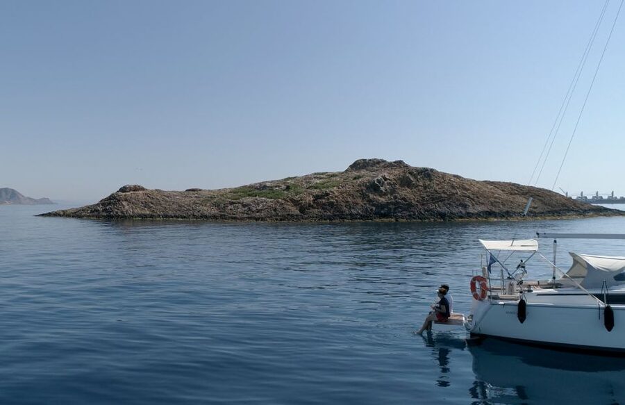 Cabo de Gata Natural Park half day private yacht tour - The return route and possible wildlife
