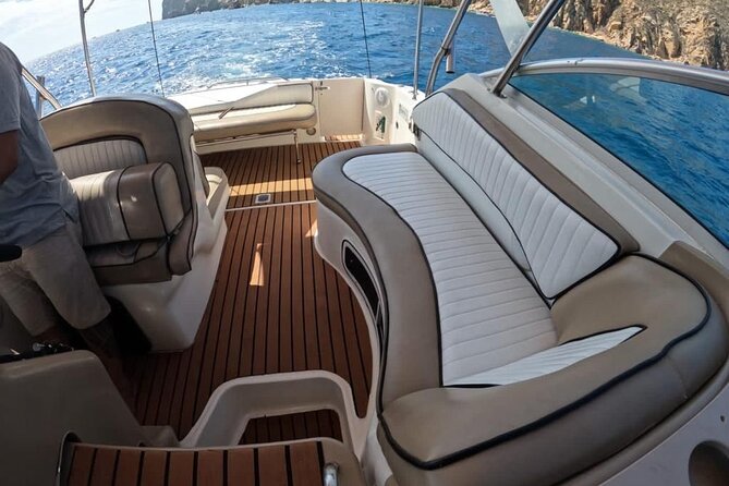 Cabo Private Yacht Cruise with Snorkeling and Swim Stop - What the whale sightings mean for your plans