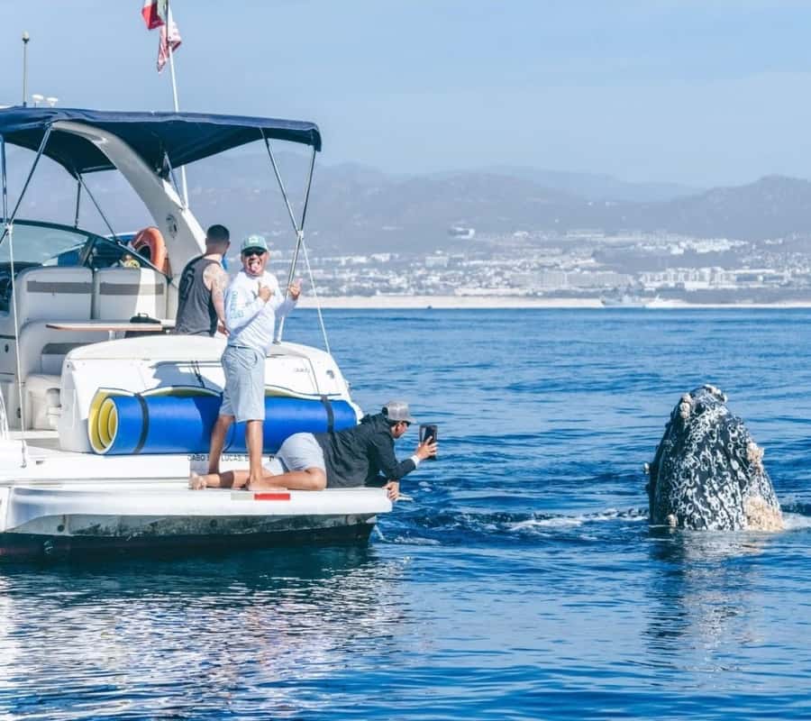 Cabo: Private Yacht Tour, Water Activities, Lunch & Drinks - Birthday extras and sunset timing