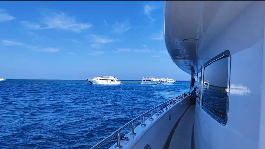 Cairo to Red Sea: VIP Yacht Cruise, Snorkeling & Lunch - Who will get the most from this trip