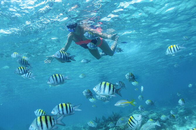 Cancun 4 hour Private Yacht Experience with Lunch and Open Bar Onboard - Who should book this yacht experience?
