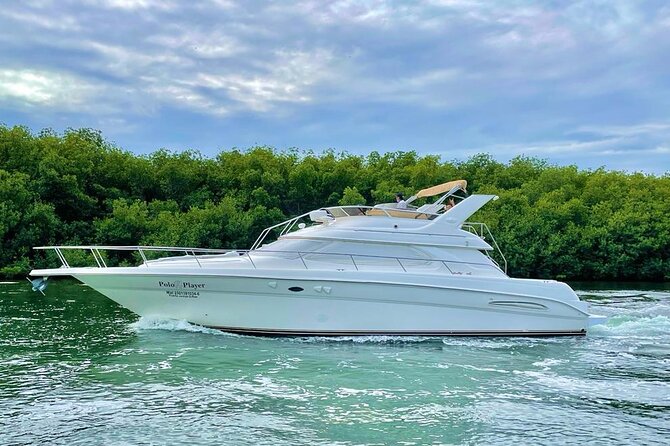 Cancun Yacht Tour - SEARAY YACHT 46 FT GREAT FOR SUNSET 15 PEOPLE MAX 25P9 - How the crew affects the day